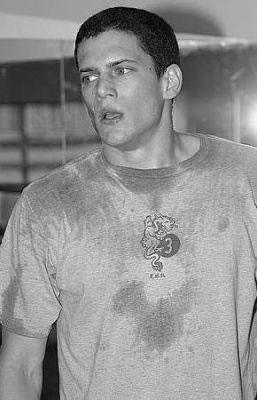 Prison Break'ın yakışıklısı:  Wentworth Miller - Resim 23