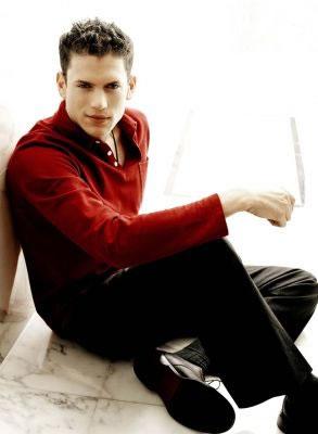 Prison Break'ın yakışıklısı:  Wentworth Miller - Resim 7