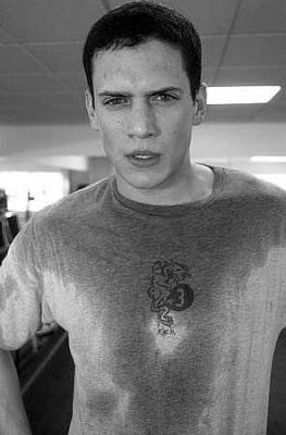 Prison Break'ın yakışıklısı:  Wentworth Miller - Resim 13