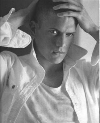Prison Break'ın yakışıklısı:  Wentworth Miller - Resim 51