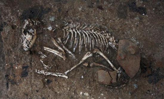 Trakya'nın En Eski Savaş Arabası