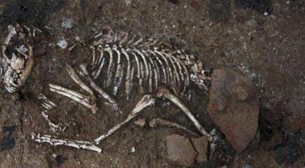 Trakya'nın En Eski Savaş Arabası