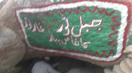 Kutsal mekanlardan Sevr Mağarası