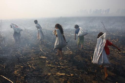 AA'NIN 2008 GÜNDEMİ - Resim 8
