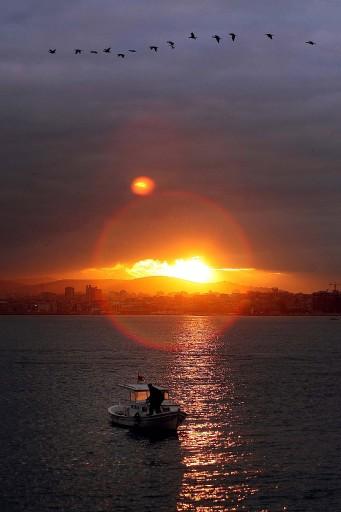 AA'NIN 2008 GÜNDEMİ - Resim 45