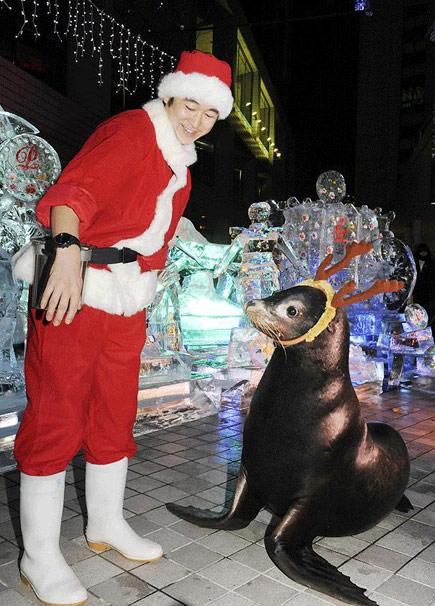 Dünya NOEL'i kutluyor - Resim 9