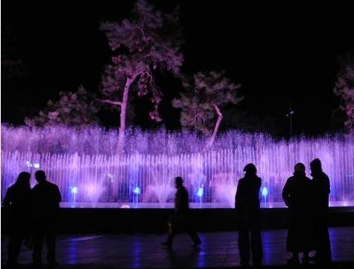 Türkiye 2009'a böyle girdi - Resim 2