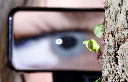 Reuters'ten 2008'in en iyi fotoğrafları - Resim 20