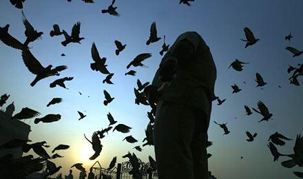 Reuters'ten 2008'in en iyi fotoğrafları - Resim 23