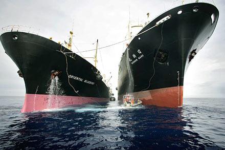 Reuters'ten 2008'in en iyi fotoğrafları - Resim 35