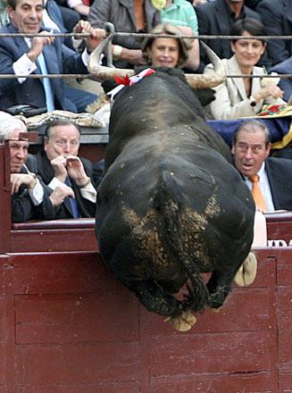 Reuters'ten 2008'in en iyi fotoğrafları - Resim 29