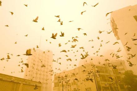 Reuters'ten 2008'in en iyi fotoğrafları - Resim 28