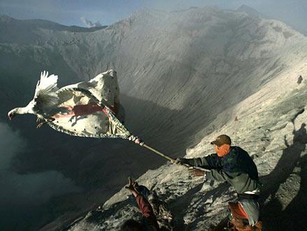 Reuters'ten 2008'in en iyi fotoğrafları - Resim 31