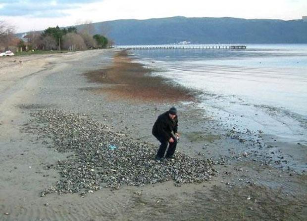 Deniz 50 metre çekildi - Resim 1