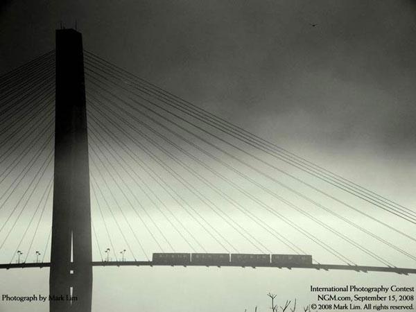 Ödüllü Fotoğraflar - Resim 16