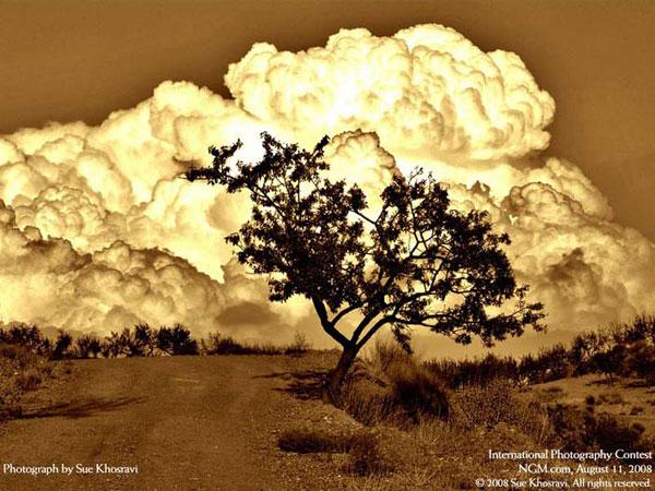 Ödüllü Fotoğraflar - Resim 28
