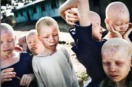 2008'in En İyi Basın Fotoğrafları - Resim 13