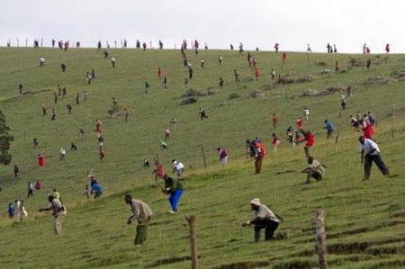 2008'in En İyi Basın Fotoğrafları - Resim 47