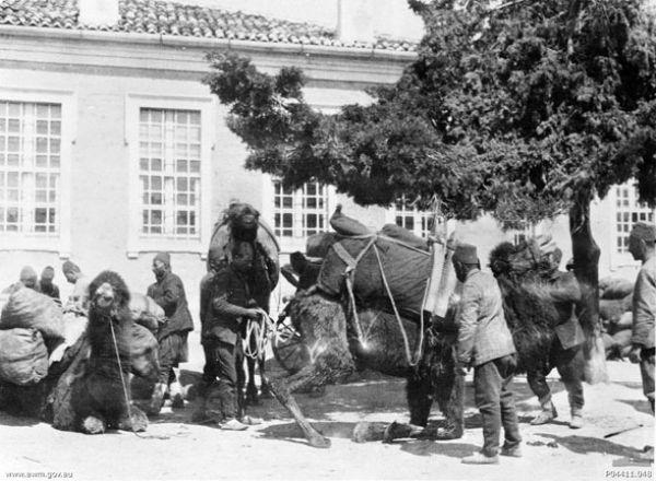 Çanakkale'den gizli kalmış fotoğraflar - Resim 24