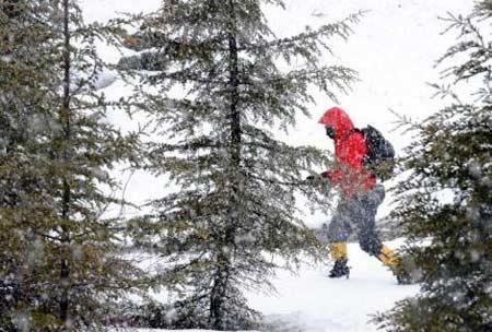 Yazıcıoğlu'nu arama çalışmaları