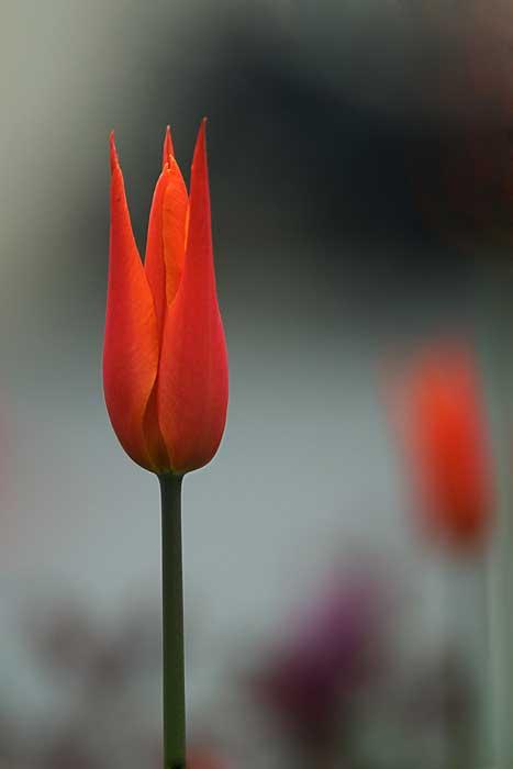 Fotoğrafın büyüsü - Resim 28