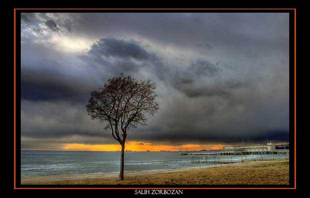 Fotoğrafın büyüsü - Resim 23