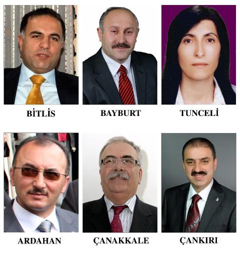 Seçim sevinci - Resim 50