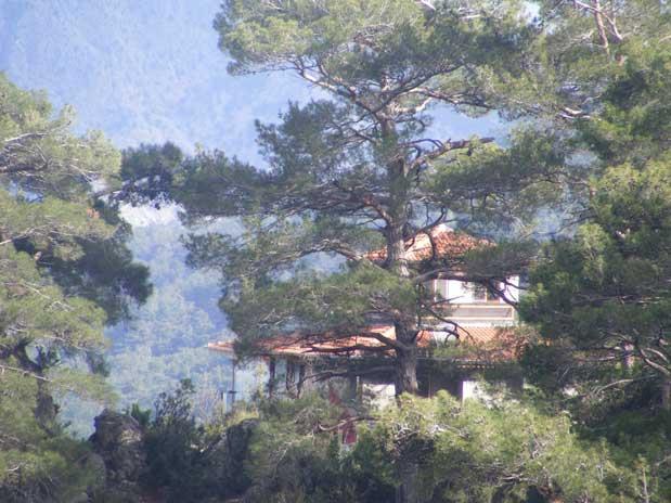 Fotoğrafın büyüsü - Resim 13