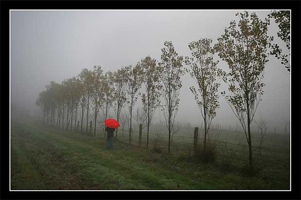 Fotoğrafın büyüsü - Resim 15