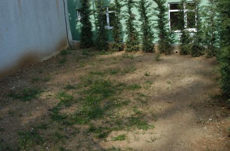 Süperstar Ajda Pekkan'ın evi - Resim 15