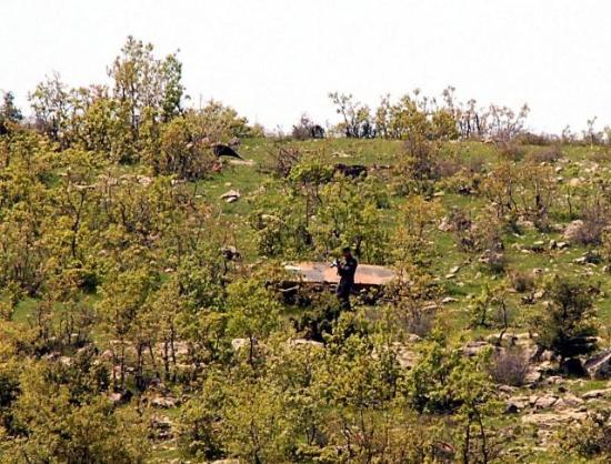 Olay yerinden ilk fotoğraflar - Resim 20