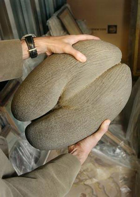 Penis müzesi - Resim 1