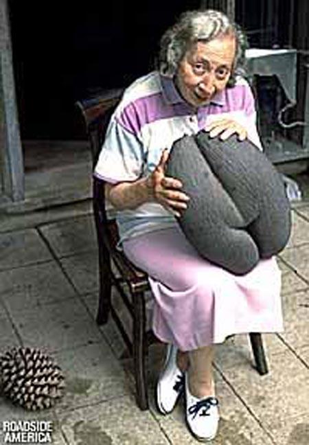 Penis müzesi - Resim 2