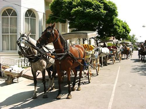 Hafta sonu kaçamakları için seçenekler