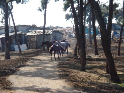 Hafta sonu kaçamakları için seçenekler