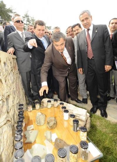 Bakan Arınç kuyruğu - Resim 38