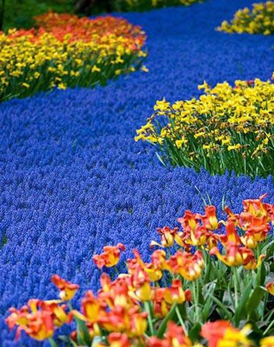 En güzel bahar fotoğrafları