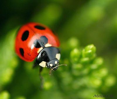 En güzel bahar fotoğrafları