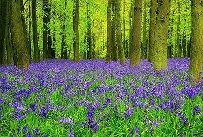 En güzel bahar fotoğrafları