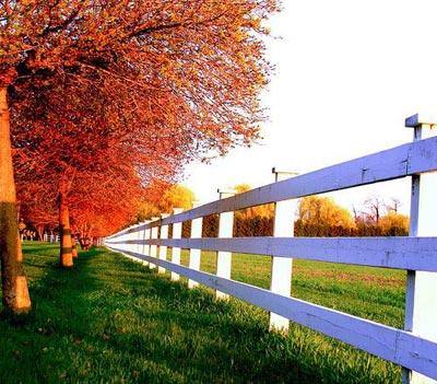 En güzel bahar fotoğrafları