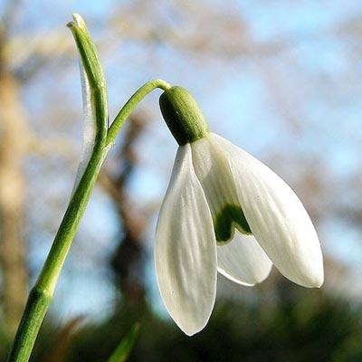 En güzel bahar fotoğrafları