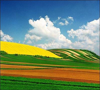 En güzel bahar fotoğrafları