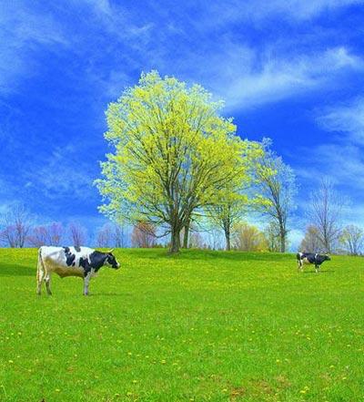 En güzel bahar fotoğrafları