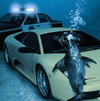 Su altında yaşasaydık hayat nasıl olurdu