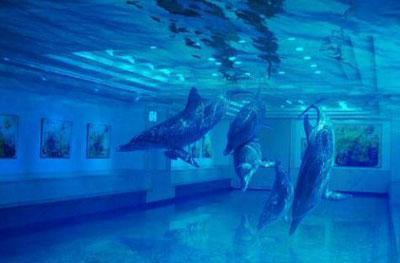 Su altında yaşasaydık hayat nasıl olurdu