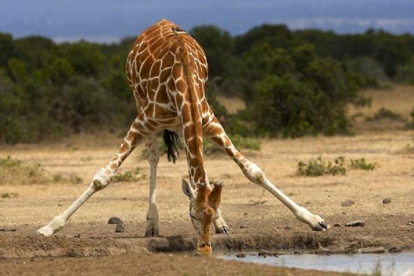 En güzel doğa fotoğrafları