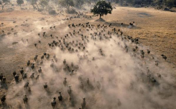 En güzel doğa fotoğrafları