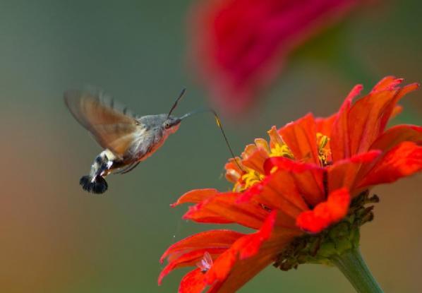 En güzel doğa fotoğrafları