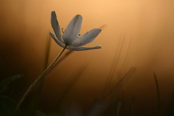 En güzel doğa fotoğrafları