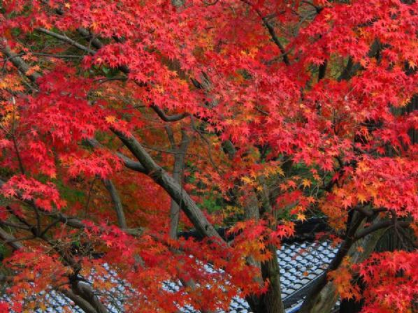 En güzel doğa fotoğrafları